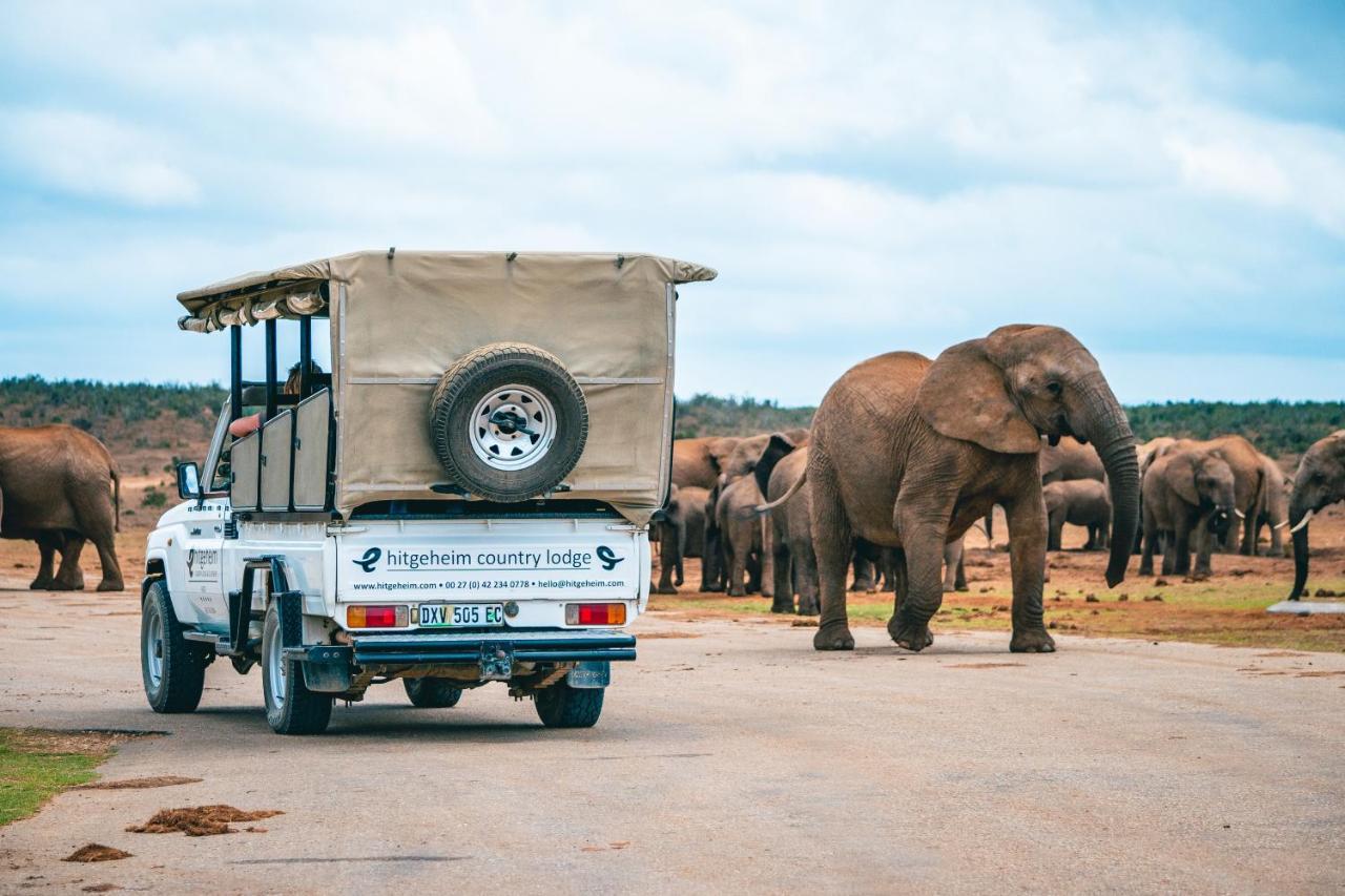 Hitgeheim Country Lodge Addo Luaran gambar