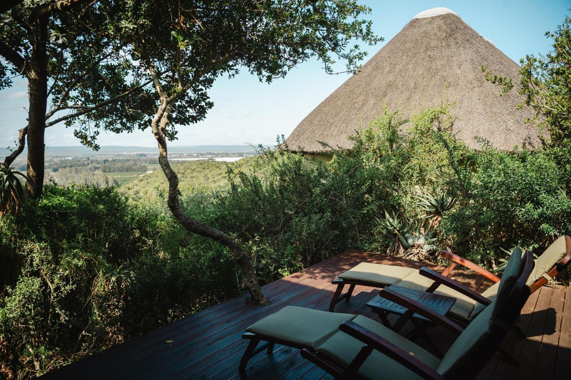 Hitgeheim Country Lodge Addo Bilik gambar