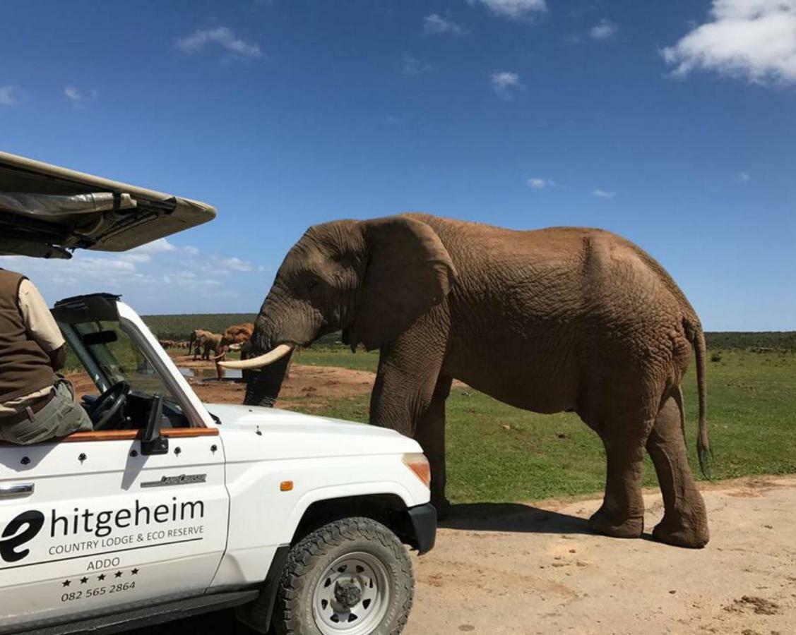 Hitgeheim Country Lodge Addo Luaran gambar